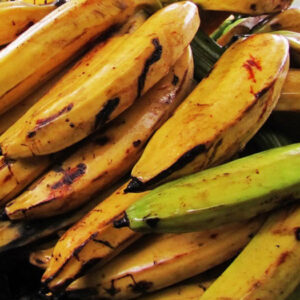 Banane plantin
